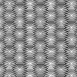 Wildberry Parma Shower Curtain – Geometric Black and White Bathroom Curtain