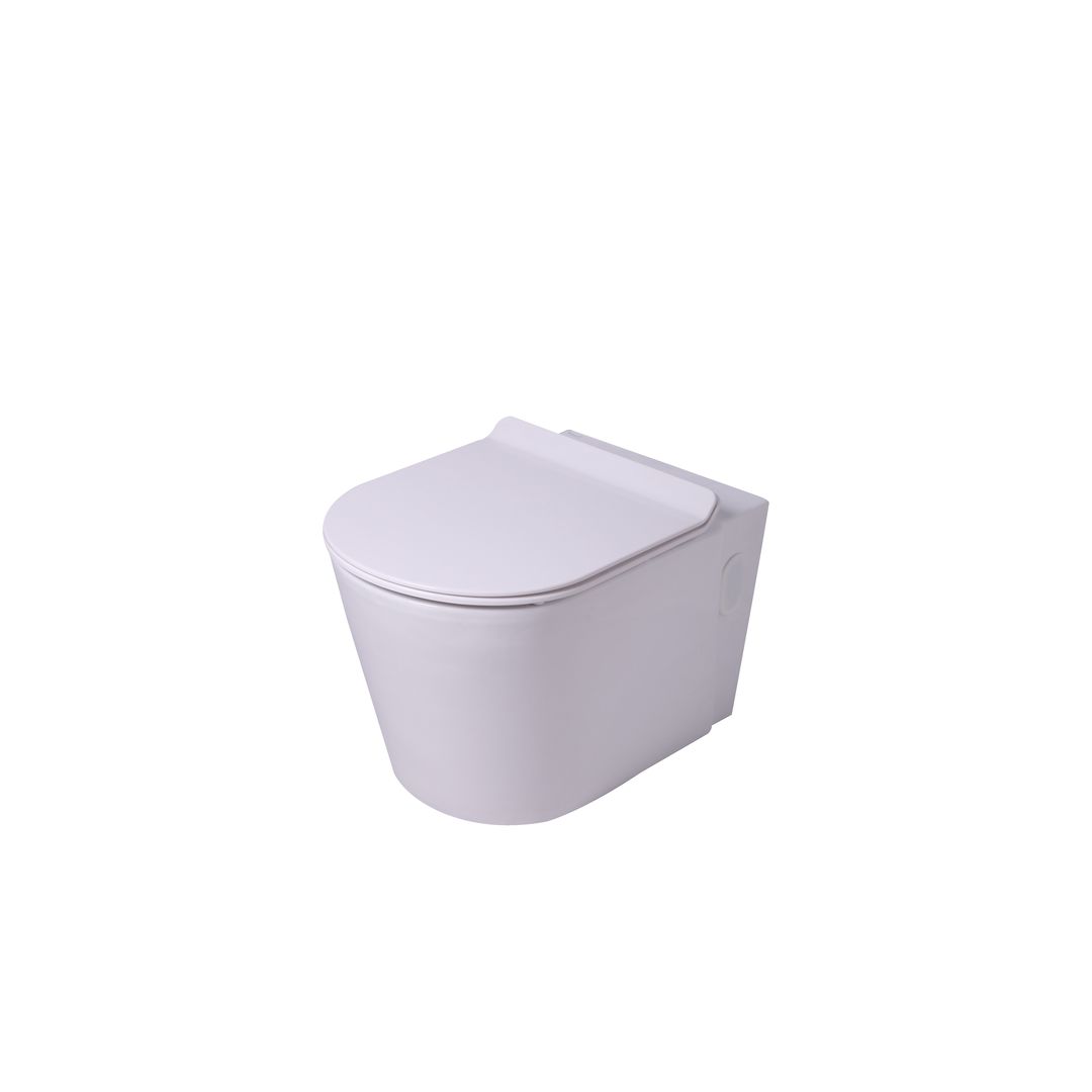 2147483647_255_rAcLpeK.jpg Vaal Entice Wall Hung Pan With Seat White - Image 1
