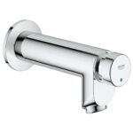 Grohe Euroeco Cosmopolitan T Self-closing Wall Mounted tap 1/2" chrome
