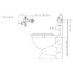 Cobra FM Manual Exposed Toilet Flush Valve & Pipe Top Flush 35mm FI Connection Chrome - Image 2